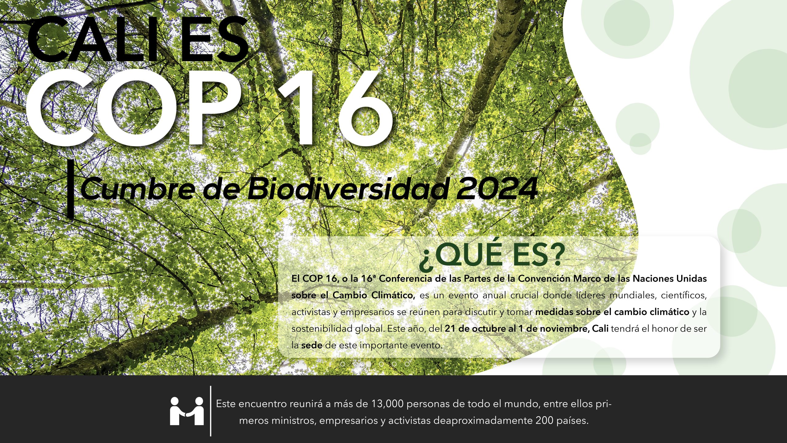 Cali es COP 16: Cumbre de Biodiversidad 2024